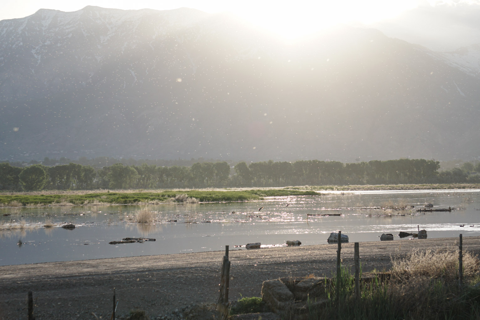 The light peaks over the mountain lighting up the hordes of insects over the marshy area where the ducks like to be